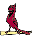 cardinals.gif (1358 bytes)